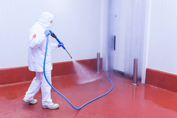 Best Restaurant Pressure Washing  in East Lansing, MI